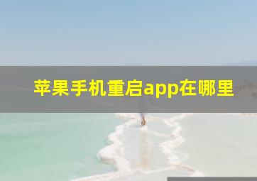 苹果手机重启app在哪里