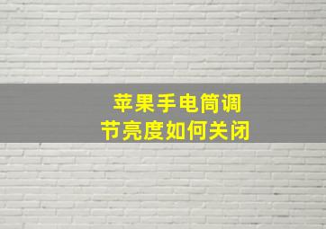 苹果手电筒调节亮度如何关闭