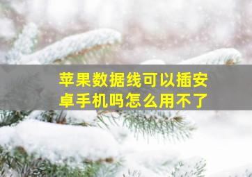 苹果数据线可以插安卓手机吗怎么用不了