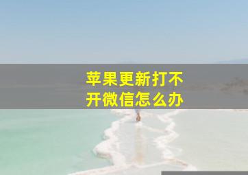 苹果更新打不开微信怎么办