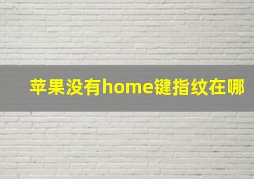 苹果没有home键指纹在哪