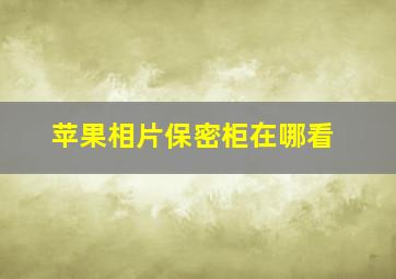 苹果相片保密柜在哪看