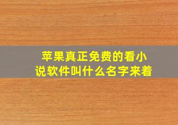 苹果真正免费的看小说软件叫什么名字来着