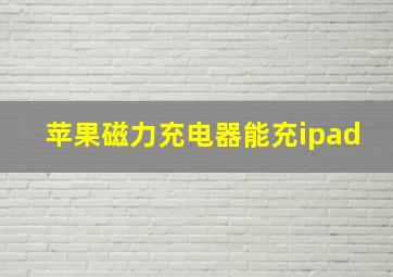 苹果磁力充电器能充ipad