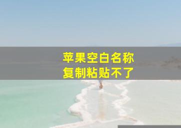 苹果空白名称复制粘贴不了