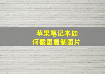 苹果笔记本如何截图复制图片