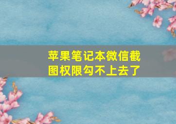 苹果笔记本微信截图权限勾不上去了