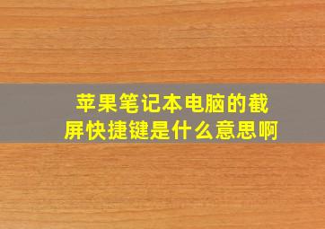 苹果笔记本电脑的截屏快捷键是什么意思啊