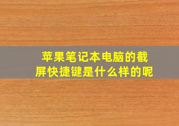 苹果笔记本电脑的截屏快捷键是什么样的呢