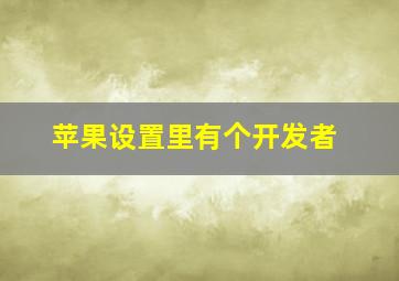 苹果设置里有个开发者