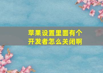 苹果设置里面有个开发者怎么关闭啊