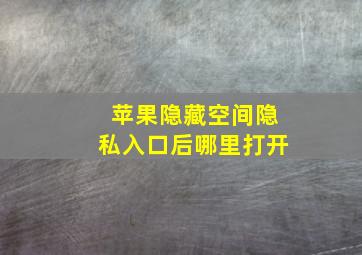 苹果隐藏空间隐私入口后哪里打开