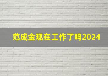 范成金现在工作了吗2024