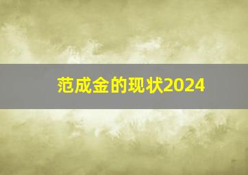 范成金的现状2024