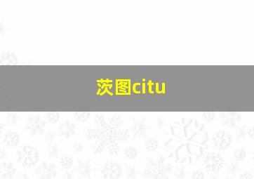 茨图citu