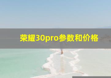 荣耀30pro参数和价格