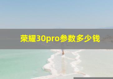 荣耀30pro参数多少钱