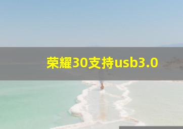 荣耀30支持usb3.0