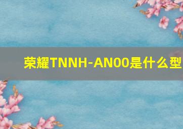 荣耀TNNH-AN00是什么型号