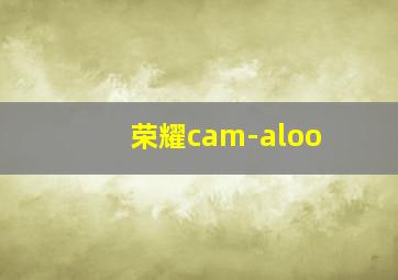 荣耀cam-aloo