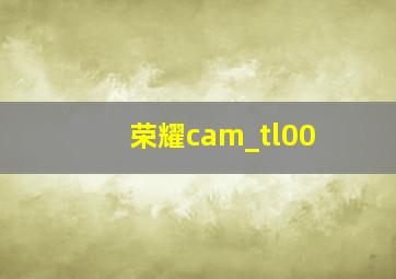 荣耀cam_tl00