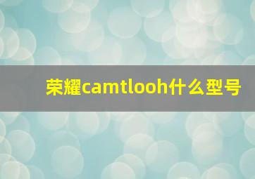 荣耀camtlooh什么型号