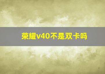 荣耀v40不是双卡吗