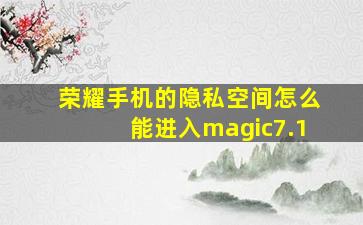 荣耀手机的隐私空间怎么能进入magic7.1