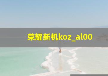 荣耀新机koz_al00