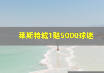 莱斯特城1赔5000球迷