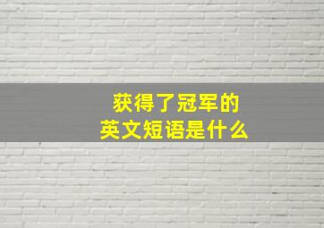 获得了冠军的英文短语是什么