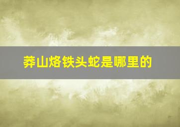 莽山烙铁头蛇是哪里的