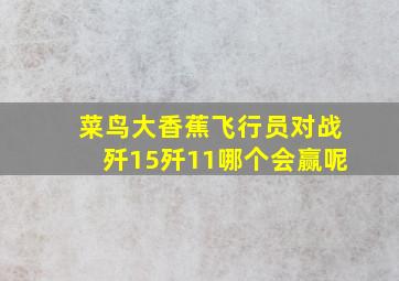 菜鸟大香蕉飞行员对战歼15歼11哪个会赢呢