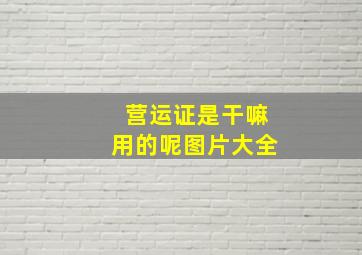 营运证是干嘛用的呢图片大全