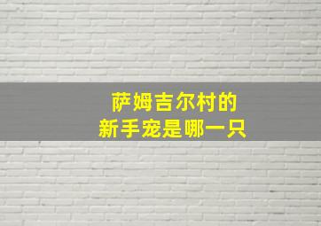 萨姆吉尔村的新手宠是哪一只