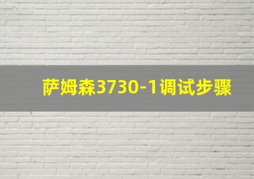 萨姆森3730-1调试步骤