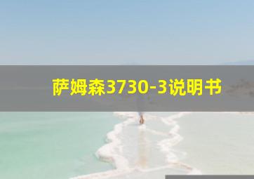 萨姆森3730-3说明书