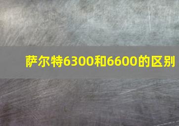 萨尔特6300和6600的区别