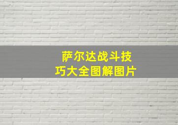 萨尔达战斗技巧大全图解图片