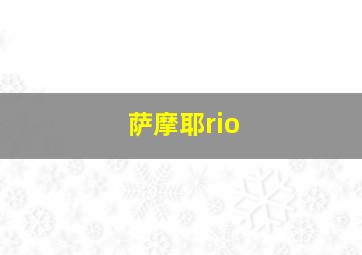 萨摩耶rio