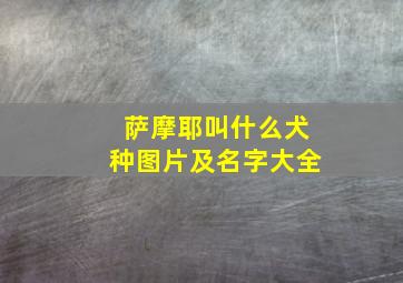 萨摩耶叫什么犬种图片及名字大全