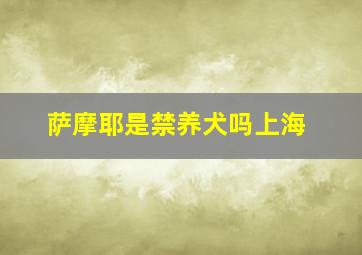 萨摩耶是禁养犬吗上海