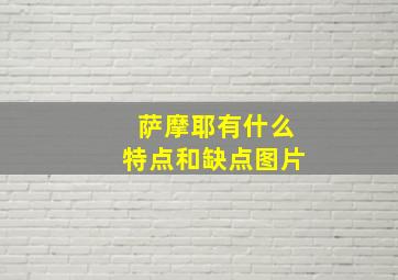 萨摩耶有什么特点和缺点图片