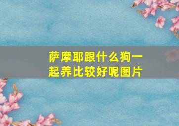 萨摩耶跟什么狗一起养比较好呢图片