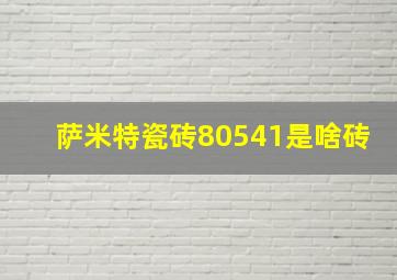 萨米特瓷砖80541是啥砖