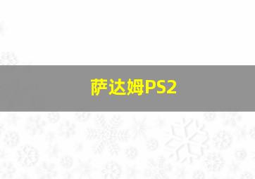 萨达姆PS2