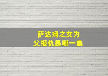 萨达姆之女为父报仇是哪一集