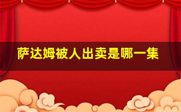 萨达姆被人出卖是哪一集