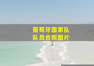 葡萄牙国家队队员合照图片