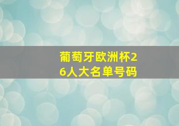 葡萄牙欧洲杯26人大名单号码